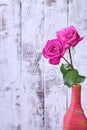 Two beautiful pink roses in a vintage bottle Royalty Free Stock Photo