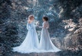 Two beautiful princess Royalty Free Stock Photo