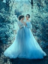 Two beautiful princess Royalty Free Stock Photo