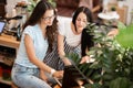 Two beautiful slim girls with long dark hair,wearing casual style,sit at the table and look attentively at the laptop Royalty Free Stock Photo