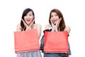 Two beautiful smiling asian young women with shopping sale bags. Royalty Free Stock Photo