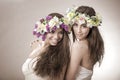 Two beautiful spring fairy , funny, friendship symbol Royalty Free Stock Photo