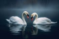 Two beautiful swans facing each other creating a heart shape