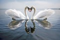 Two beautiful swans facing each other creating a heart shape