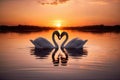 Two beautiful swans facing each other during a gorgeous sunset Royalty Free Stock Photo
