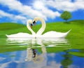 Two beautiful swans in love
