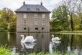 Two beautiful swans swim in the pond in front of Huis te Linschoten on the Linschoten estate Royalty Free Stock Photo