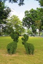 Two topiary deer in the park