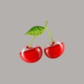 A two beautiful transparent cherries with leaf Royalty Free Stock Photo