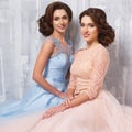 Two beautiful twins young women in luxury dresses, pastel colors Royalty Free Stock Photo