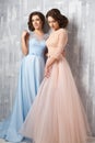 Two beautiful twins young women in luxury dresses, pastel colors Royalty Free Stock Photo