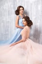 Two beautiful twins young women in luxury dresses, pastel colors Royalty Free Stock Photo