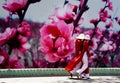 Two beautiful Vietnamese Ladies in traditional costume