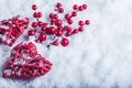 Two beautiful vintage red hearts with mistletoe berries on a white snow background. Christmas, love and St. Valentines Day concept Royalty Free Stock Photo