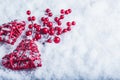 Two beautiful vintage red hearts with mistletoe berries on a white snow background. Christmas, love and St. Valentines Day concept Royalty Free Stock Photo