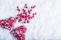 Two beautiful vintage red hearts with mistletoe berries on a white snow background. Christmas, love and St. Valentines Day concept Royalty Free Stock Photo