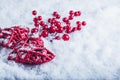 Two beautiful vintage red hearts with mistletoe berries on a white snow background. Christmas, love and St. Valentines Day concept Royalty Free Stock Photo