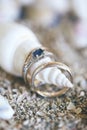 Wedding rings on a sea shell on the sand Royalty Free Stock Photo