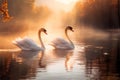 Two beautiful white swans swim on a mountain lake on a foggy morning at dawn Royalty Free Stock Photo