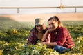 Two beautiful and young farmer girls examining crop of soy bean