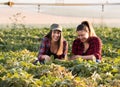 Two beautiful and young farmer girls examining crop of soy bean