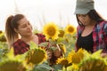 Two beautiful and young farmer girls examining crop of sunflower