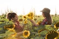 Two beautiful and young farmer girls examining crop of sunflower