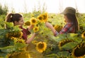 Two beautiful and young farmer girls examining crop of sunflower
