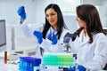 Two beautiful young female scientists working in laboratory with test tubes doing some research Royalty Free Stock Photo