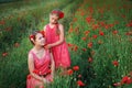 Two beautiful young sisters walking in poppy field Royalty Free Stock Photo