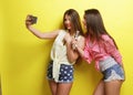 Two beauty hipster girls with a microphone take selfi Royalty Free Stock Photo