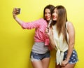 Two beauty hipster girls with a microphone take selfi Royalty Free Stock Photo