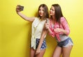 Two beauty hipster girls with a microphone take selfi Royalty Free Stock Photo