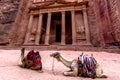 Two bedouin camels in front of Al-Khazneh `The Treasury` Royalty Free Stock Photo