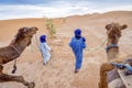 Two Bedouin men wearing blue walking with camels through yellow sands of Sahara Dessert, Morocco Royalty Free Stock Photo