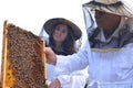 Two beekeepers in apiary