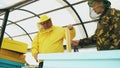 Two beekeepers checking frames and harvesting honey while working in apiary on summer day