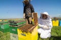 Two beekeepers checking the honeycomb of a beehive