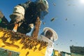 Two beekeepers checking the honeycomb of a beehive
