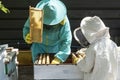 Two beekeepers stand near opened beehive and examing bees, father transfers the experience of beekeeping to his son. Royalty Free Stock Photo