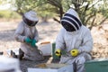 beekeepers are working on hive hive boxes in a field