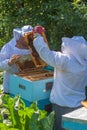 Two beekeepers work in the apiary Royalty Free Stock Photo