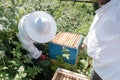 Two beekeepers work in the apiary Royalty Free Stock Photo