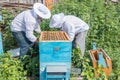 Two beekeepers work in the apiary