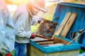 Two beekeepers work on an apiary. Summer Royalty Free Stock Photo