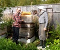 Two beekeepers work about a beehive. Summer Royalty Free Stock Photo