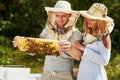 Two beekeepers works with honeycomb full of bees outdoors at sunny day. Man and woman Royalty Free Stock Photo