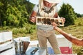 Two beekeepers works with honeycomb full of bees outdoors at sunny day Royalty Free Stock Photo