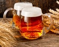 Two beer glasses with wheat and barley Royalty Free Stock Photo