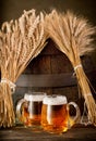 Two beer glasses with wheat and barley Royalty Free Stock Photo